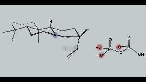 To Gibberellins and Beyond! Surveying the Evolution of (Di)Terpenoid Metabolism: Video 1