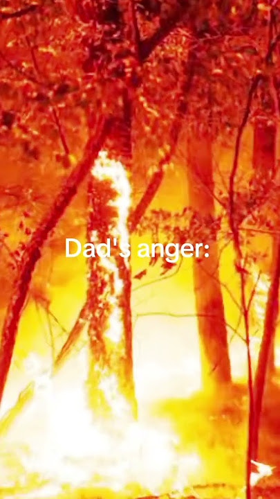 son's/daughter's anger😨😂 / #relatable #angry #dad #mom #son #daughter #edit #idkthetc @Twinky_997