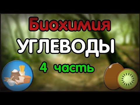 Биохимия. Лекция 50. Углеводы. Глюкозо-лактатный цикл (Кори). Глюконеогенез. Пентозофосфатный путь.