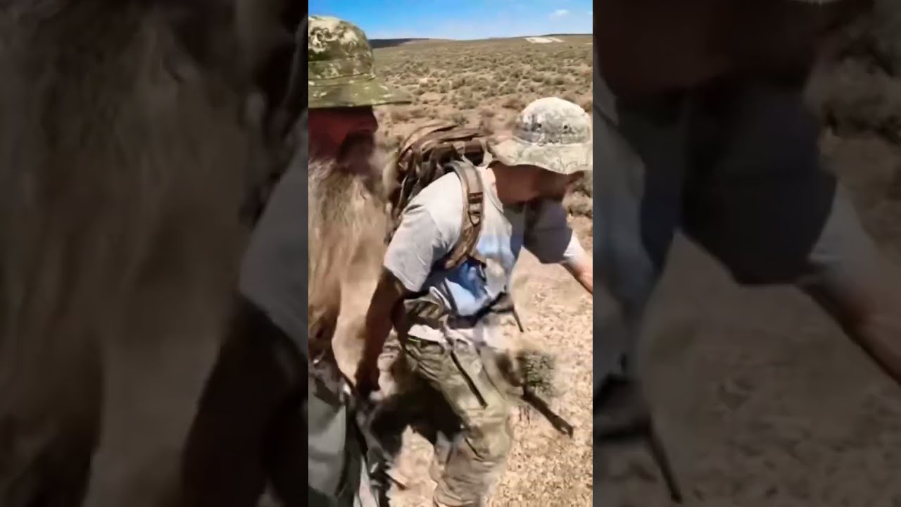 Father/Son Duo Hard Hunt, Hard Work! #discipline #hardcore #hardwork # ...