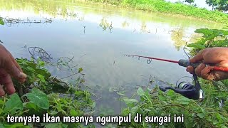 ediiaaannn || mancing di sungai bisa dapat ikan mas sebanyak ini