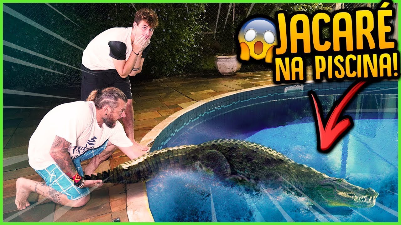entretenimento para casamento COLOQUEI UM JACARÉ NA PISCINA E DEU RUIM!! [ REZENDE EVIL ]