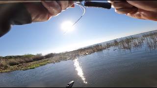 Pre-Fishing for the 2nd BBT event of the year - Day 2