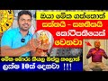      10       astrology srilanka