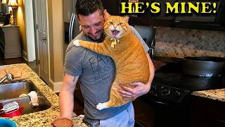My Husband Didn't Want a Cat… Now He's OBSESSED With Him 😂🐱