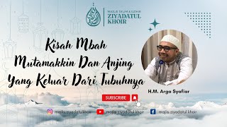 Kisah Mbah Mutamakkin Dan Anjing Yang Keluar Dari Dalam Tubuhnya