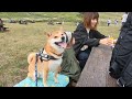 元気あふれる柴犬と1歳娘を連れて高原ハイキングを堪能してきた