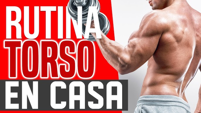 EJERCICIOS para BRAZOS FUERTES SIN PESAS - RUTINA para BICEPS y TRICEPS en  CASA 