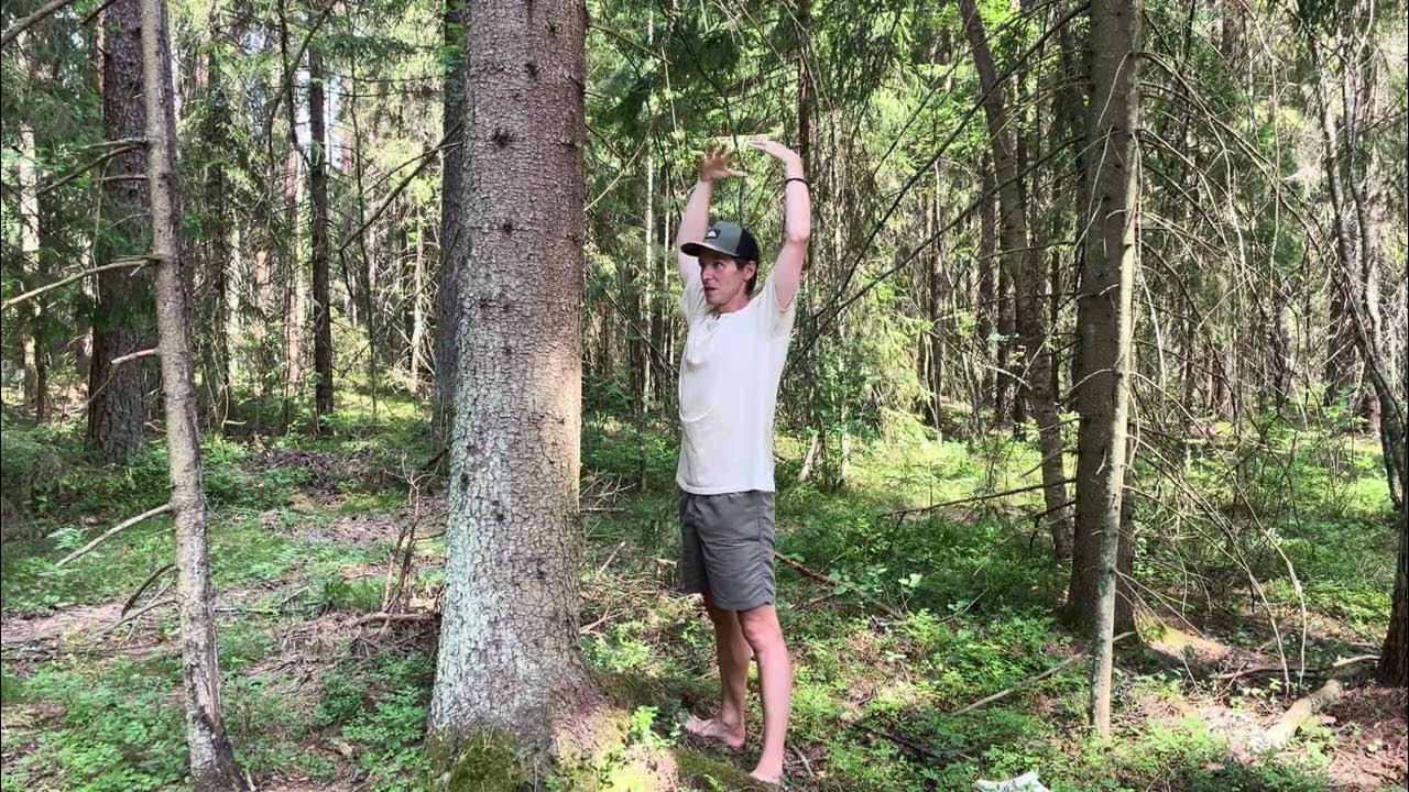 Цигун для печени - YouTube