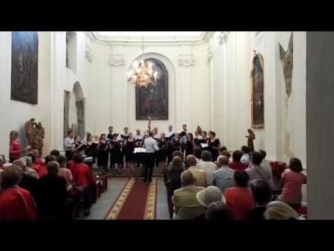 Cantus Vocum Chamber Choir
