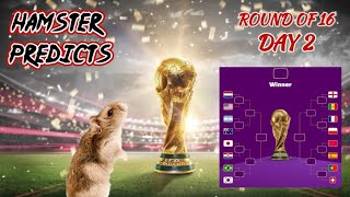 World Cup 2022 | Round of 16 Day 2 | Will Senegal knock out the English? | Football tips by animal 🐹 by Have you seen my hamsters? 558 views 1 year ago 1 minute, 46 seconds