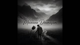 Mecnuna Dönmüşüm (Aşk Değil mi Seni Derde Düşüren)