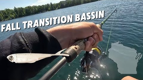 Fishing For Northern Wisconsin Smallmouth With Minnows and Drop Shots! CRAZY LIVESCOPE FOOTAGE 