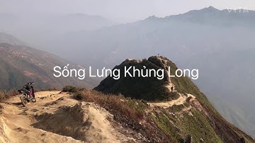 Sống lưng khủng long