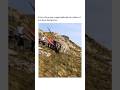 BOYS WILL BE BOYS 😜 | Pushing a GIANT Boulder Down a Cliff! 😂 | Epic Funny Moments Gone Wild!