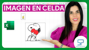 🌟 Cómo INSERTAR IMAGEN en una CELDA de Excel ✅