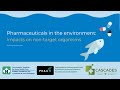 Pharmaceuticals in the Environment: Impacts on non-target organisms