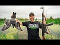 PIGEON Catch and Cook on My FARM!!!!