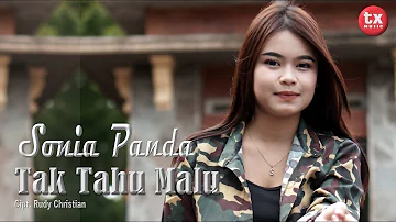 SONIA PANDA - TAK TAHU MALU (Official Music Video)