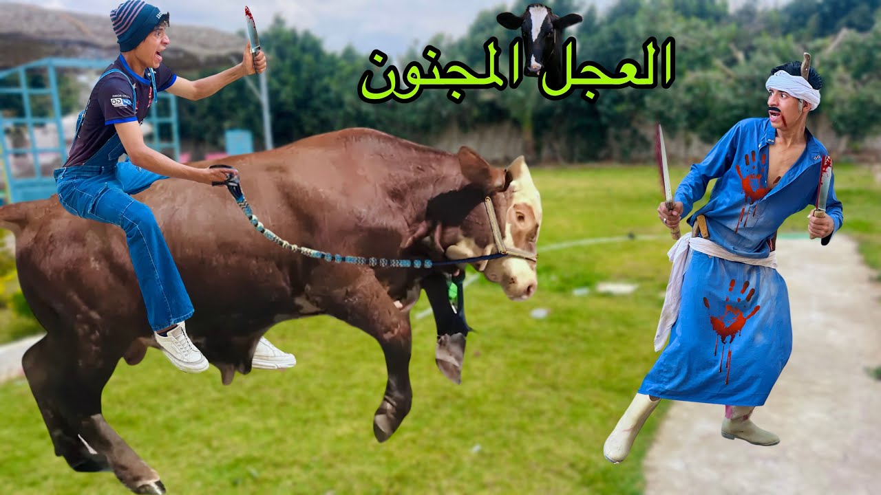 لما ابوك يشتغل جزار في اول يوم العيد ' العجل المجنون ' 🐄🥩😂| علاء حسين