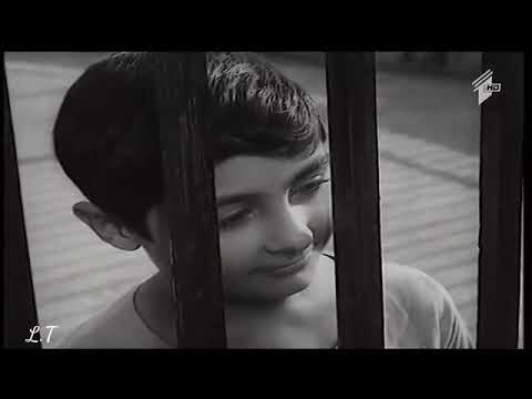 მხ.ფ. \"სხვისი შვილები\" (ვინაა სიმპატიური!)