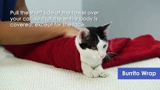 How to give daily injections of GS441524 for the treatment of FIP