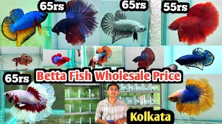 Betta Fish wholesale price stock | Indonesia betta Fish price| Thailand Betta price| Betta Farm