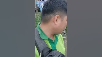 cả nhà đoán xem clip cấm câu ếch mùa lúa