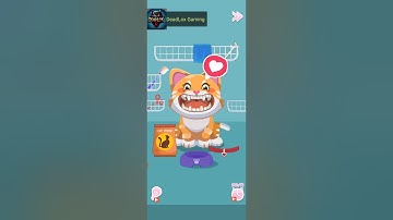 Perfect Tidy Level 5 Cat Care. Walkthrough Gameplay