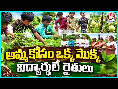 Amma Kosam Oka Mokka : Students Turn Into Farmers With Help Of Teachers | Wanaparthy | V6 News - V6NEWSTELUGU