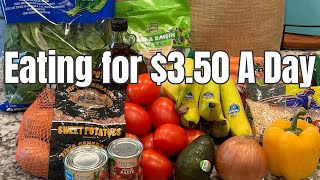$25 for the Week | Eating for $3.50 a Day | EASY Budget Meal Plan
