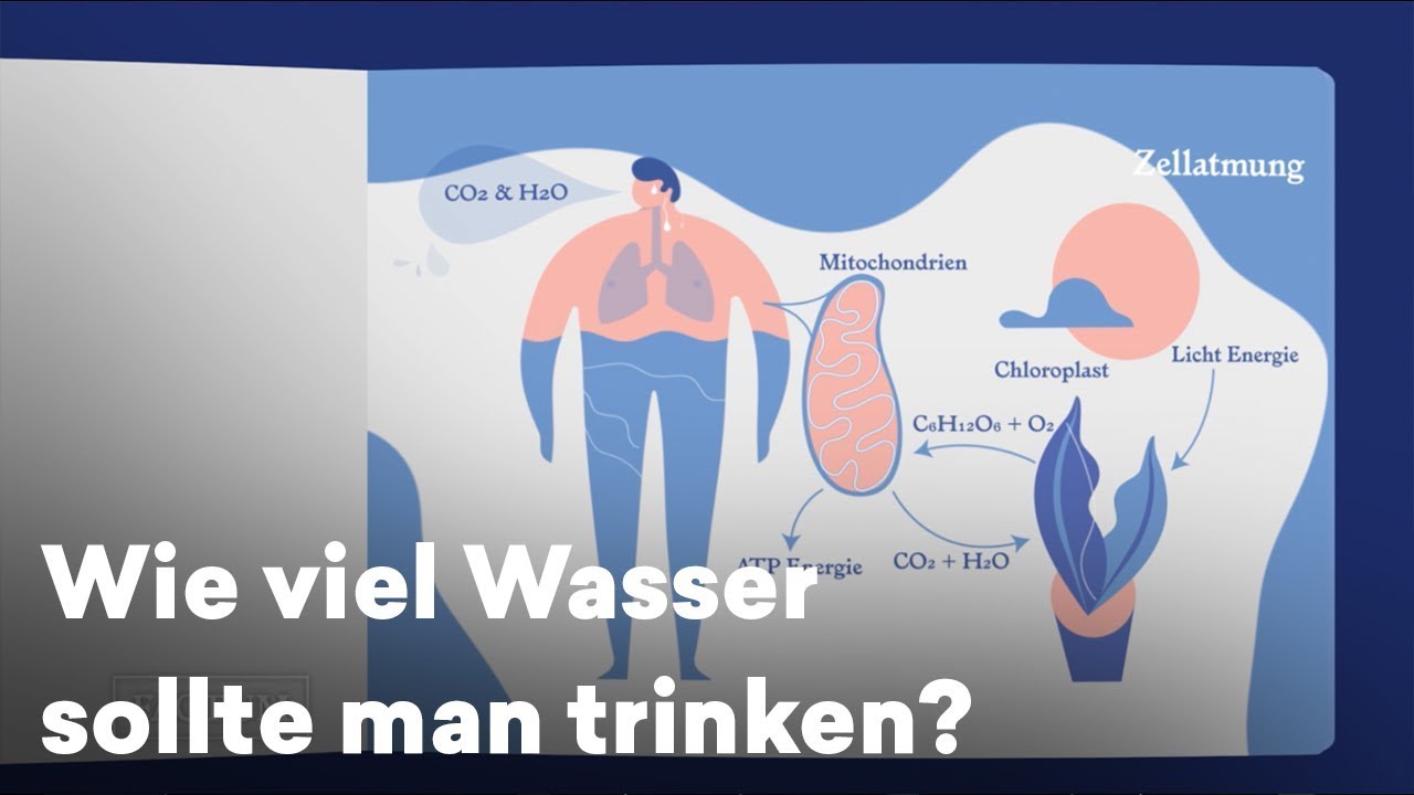Wie Alt Ist Das Wasser Dass Wir Heute Trinken www.youtube.com