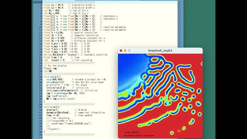 For programming education: A reaction diffusion system: The Gray-Scott model