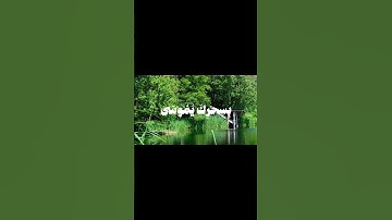 ﴿ولقد اريناه اياتنا كلها فكذب وابى﴾سوره طه بصوت هادئ