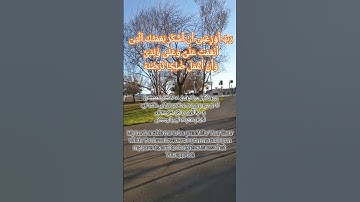 سوره نمل آیه ۱۹. 19 Naml verse