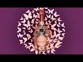 Laurentperrier cuve ros butterfly