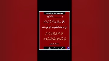 سورة محمد - سورة 47 - اية 14-13