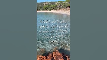 سورة الشورى من آية 17 إلى آية 19 بصوت الشيخ ياسر الدوسري♥♥