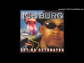 Ice Burg – Set Da Detonator – CD (Album), 1999 [r9962056