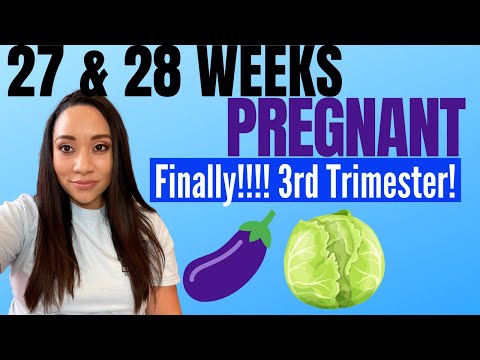 What to Expect at 27 & 28 Weeks Pregnant | Week By Week Symptoms for your Third Trimester Pregnancy
