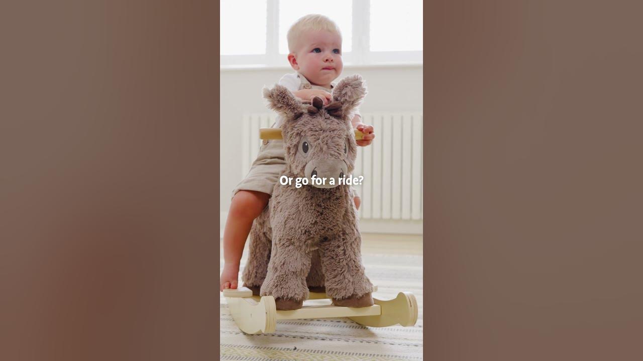 Norbert The Donkey- Little Bird Told Me