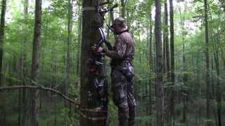 Deer Attractant That Works Antler Ice