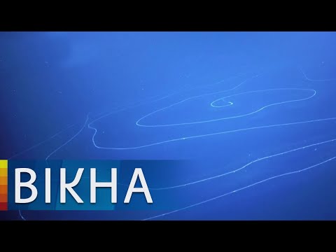 Невероятно! Самое длинное