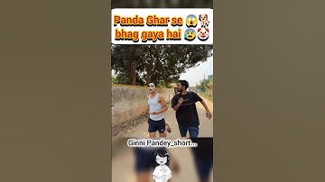 Panda Ghar se 😱🐕bhag gaya hai 😰🤡#ginnipandey #panda #fun #tending #reaction