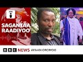 Obbo Taayyee Danda'aan maaliif 'dhiifamaan' gadhiifamuu didan? | BBC News Afaan Oromoo