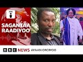 Obbo Taayyee Danda'aan maaliif 'dhiifamaan' gadhiifamuu didan? | BBC News Afaan Oromoo