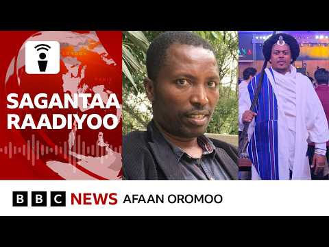 Obbo Taayyee Danda'aan maaliif 'dhiifamaan' gadhiifamuu didan? | BBC News Afaan Oromoo