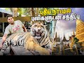 Real      tiger park  pattaya  thailand   rj chandru vlogs