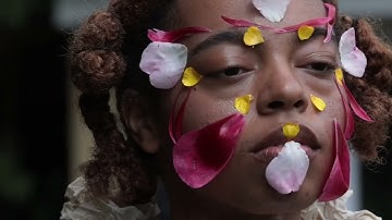 ECHOES (The Complete Visual Journey)