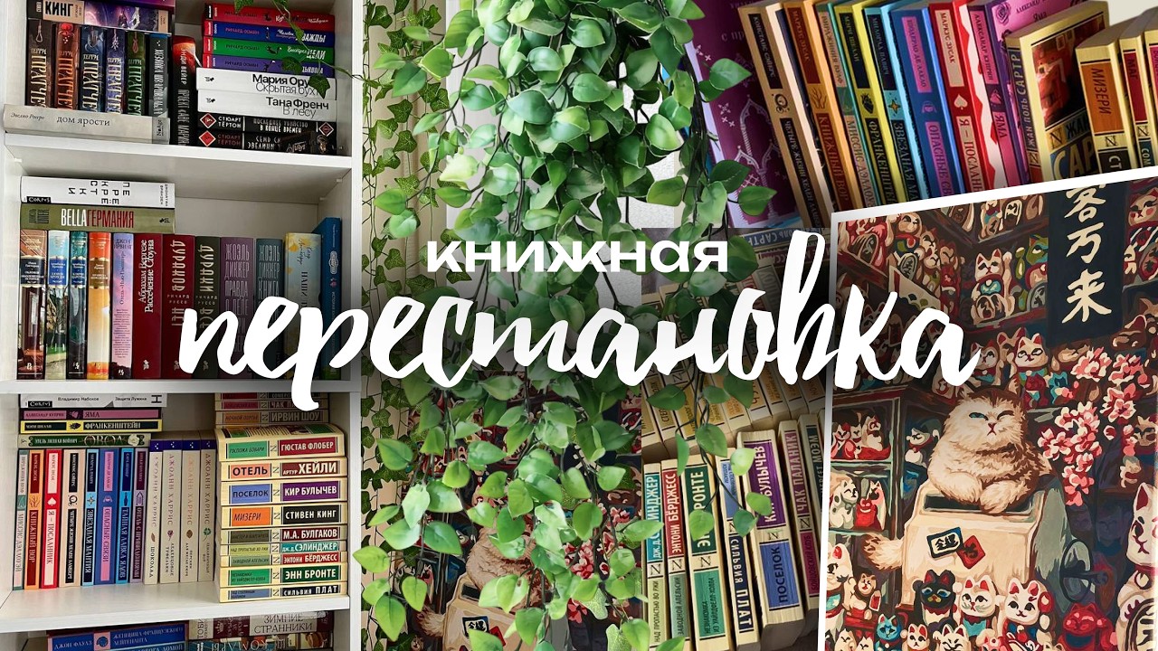 книжная ПЕРЕСТАНОВКА 💪 | сообразила новый фон для видео